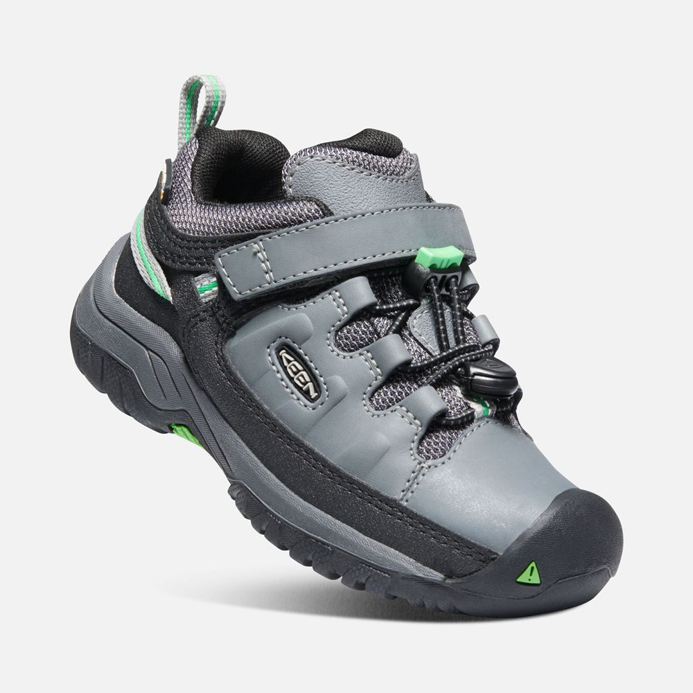 Zapatos de Seguridad Keen Mexico Grises/Verdes - Niños Targhee Waterproof - VU6974513